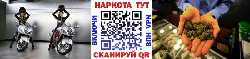 МЕФ Мещовск