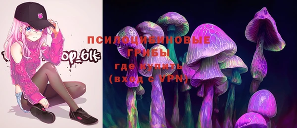 ALPHA-PVP Вяземский