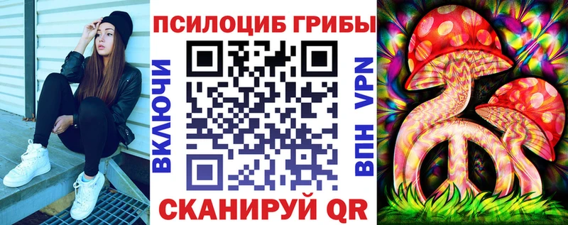 Галлюциногенные грибы мицелий  продажа наркотиков  MEGA tor  Мещовск 